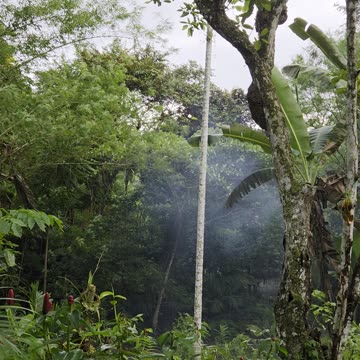 Wind Before the Storm 🌬️⛈️ | Expat in the Philippines, Farm Life
