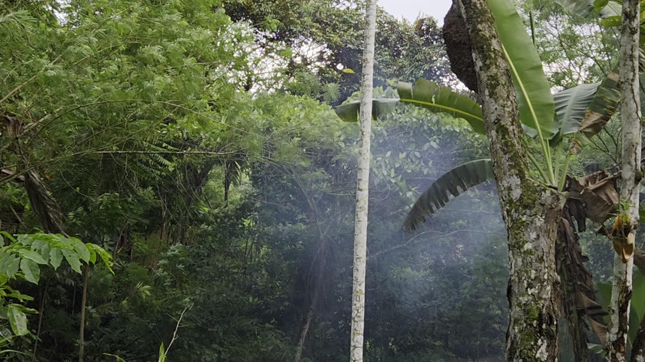 Wind Before the Storm 🌬️⛈️ | Expat in the Philippines, Farm Life