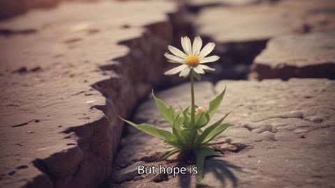Hope Is Here