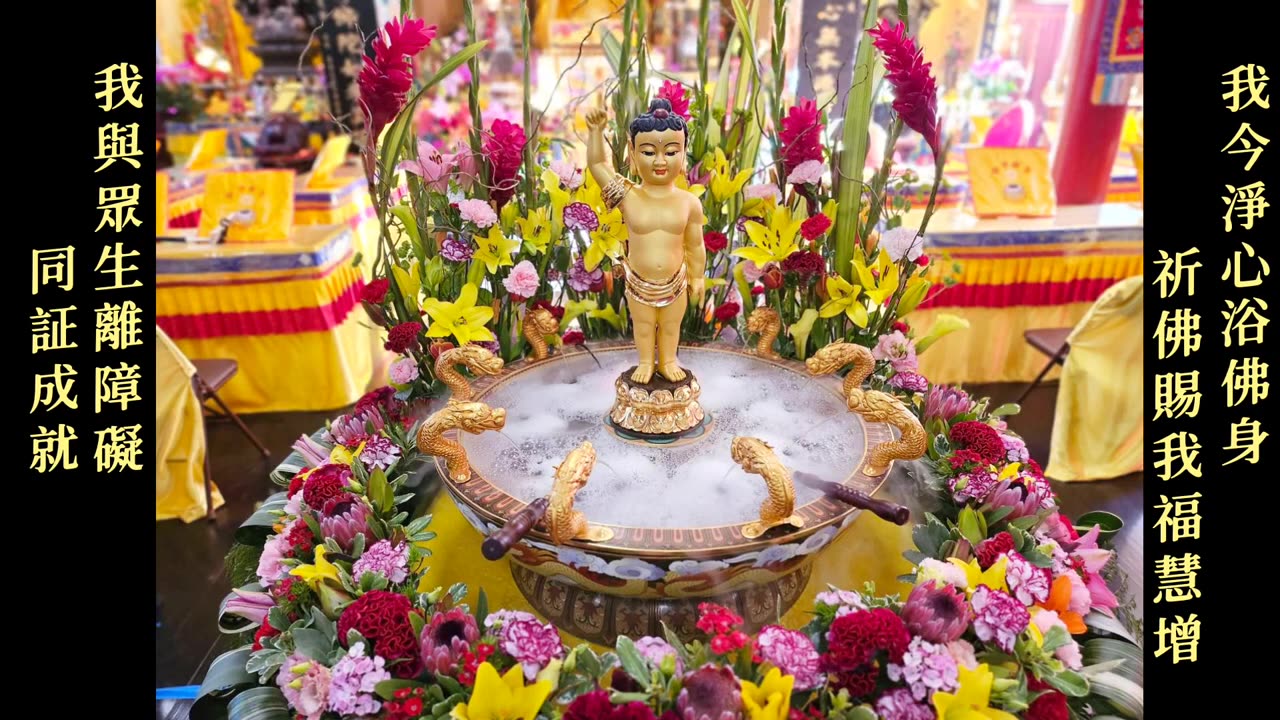 2024年5月 舊金山華藏寺南無釋迦牟尼佛佛誕浴佛法會