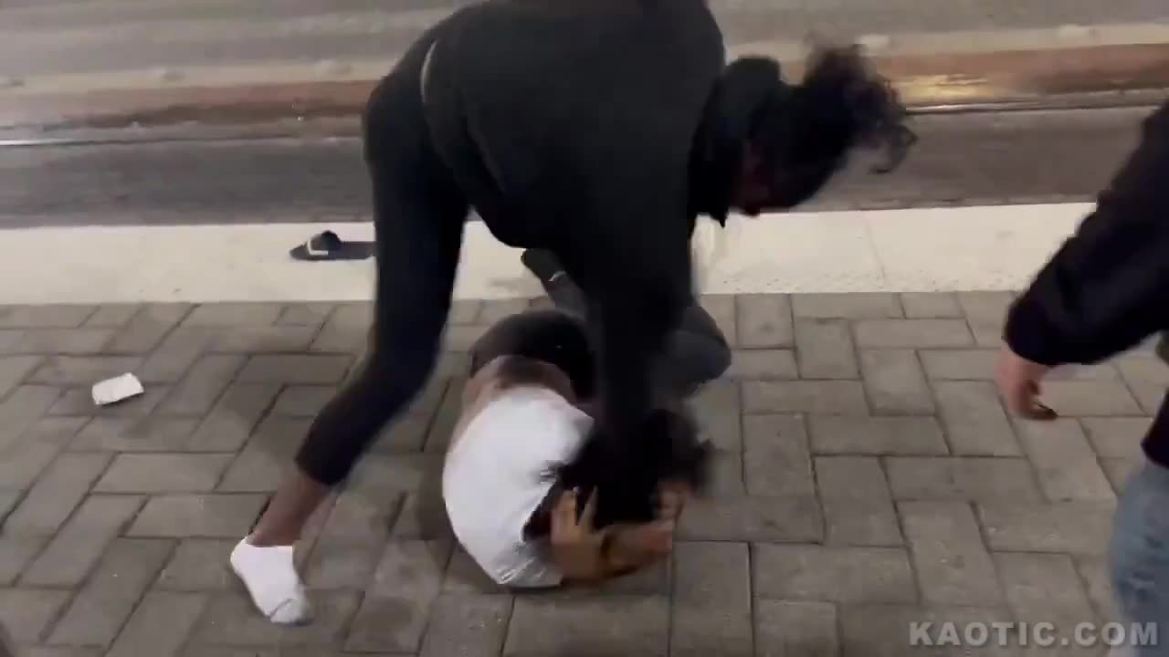 Apes fighting