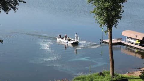 PLM Individual Shoreline Treatment