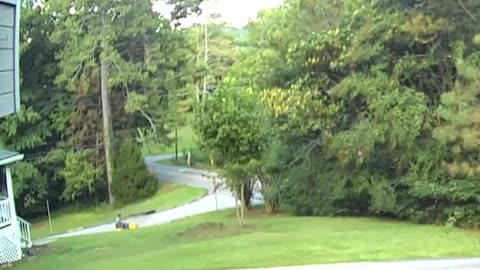 Flash Lawn Maintenance