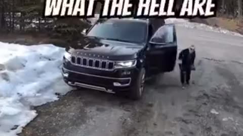 Like father like son | funny video | crazy clips 