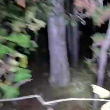 Horror on Ohio Farm Land