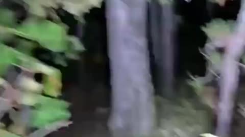 Horror on Ohio Farm Land