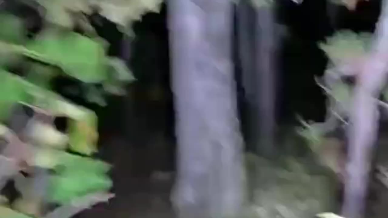 Horror on Ohio Farm Land