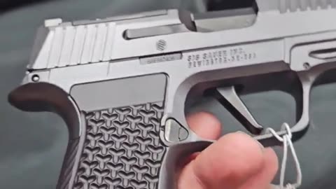 SIG SAUER LUXE .380
