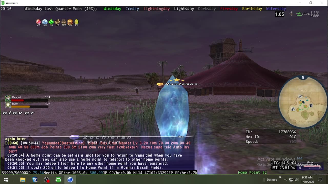 Playing Final Fantasy XI Online