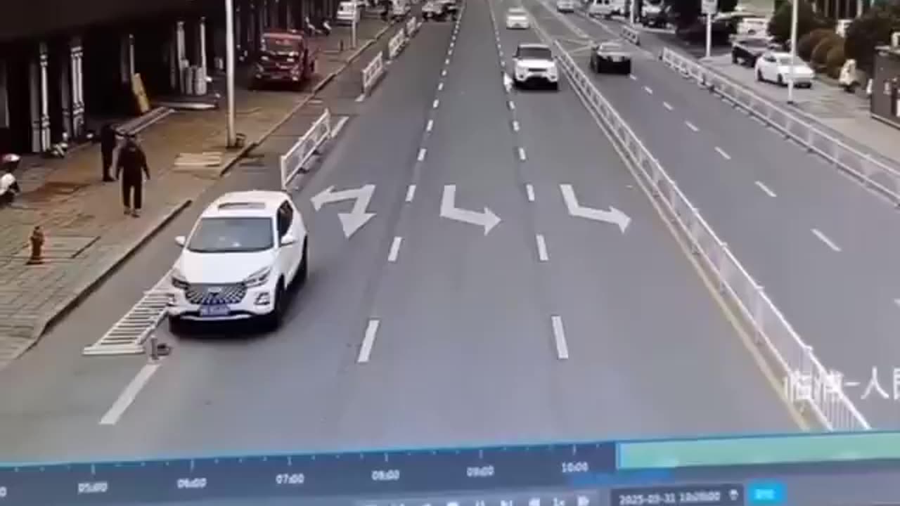 In China, a camera captured a dog behind the wheel causing a car accident