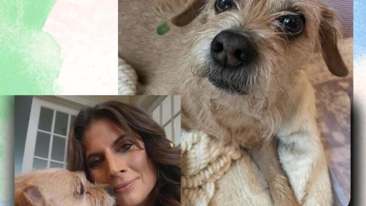 Prayer for Toby