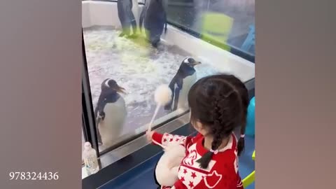 Funniest ANIMALS Videos