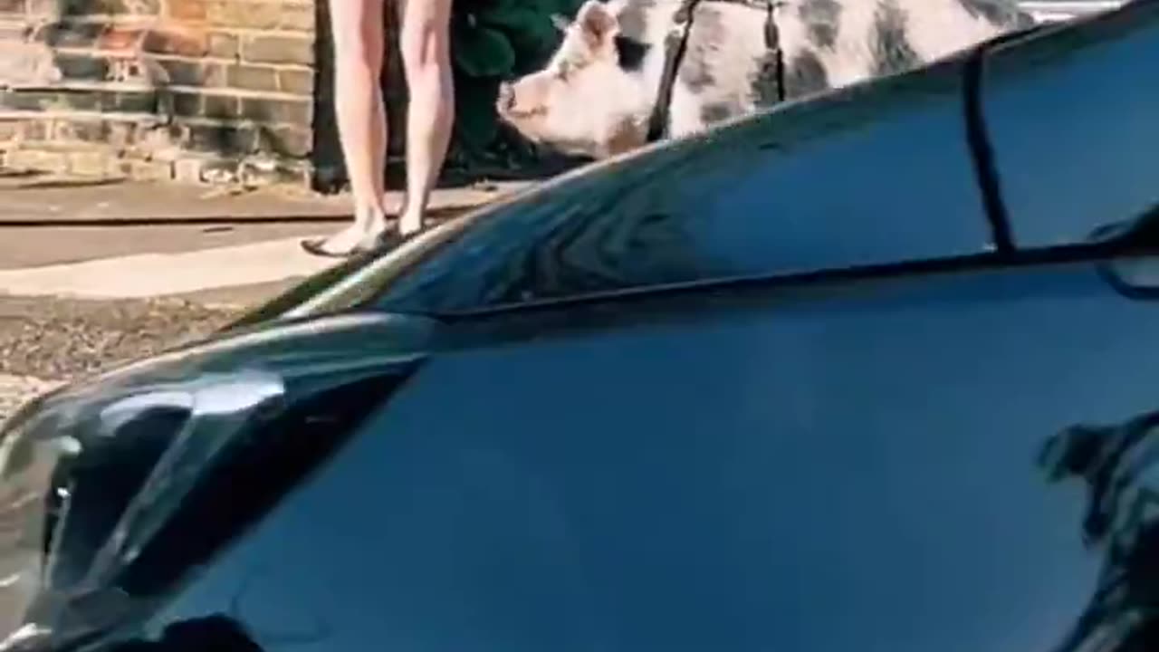 In London some women leave house like this so as not to be harassed by usual suspects.