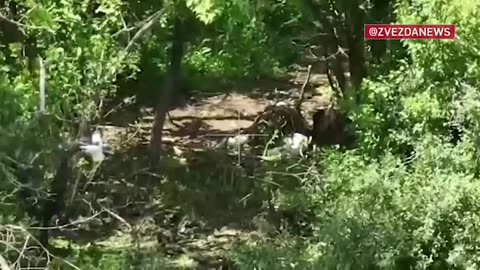 🎥🛡️ Ukraine Russia War | Russian MoD Releases Footage of Ridkodub Capture | RCF