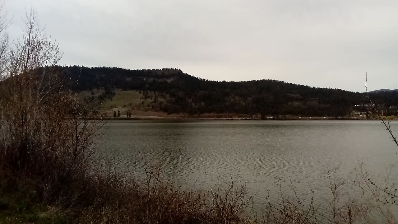Exploring Duck Lake (Ellison Lake) In Beautiful British Columbia 🇨🇦 April 10th 2025