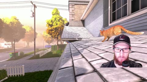 Copycat Cozy Gameplay: From Human to Housecat
