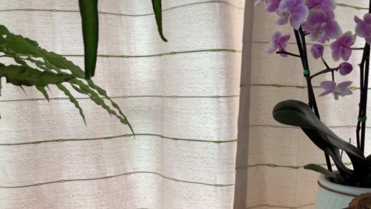 #stop Day 25 [30-Day Dance with 30-Seconds]