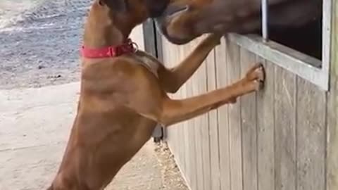 Unconditional Love is real. Lol!