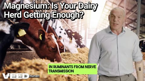Small Mineral, Big Problem: The Magnesium Deficiency You Can’t Ignore