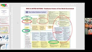 United Nations / WHO Crimes Exposed Part 2 | Dr Astrid Stuckelberger
