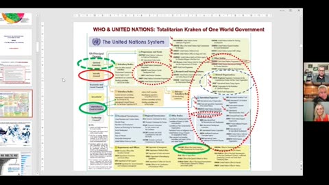 United Nations / WHO Crimes Exposed Part 2 | Dr Astrid Stuckelberger