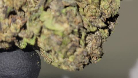 Atomic Belts THC Flower