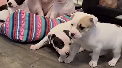 Parents are good teachers for their children