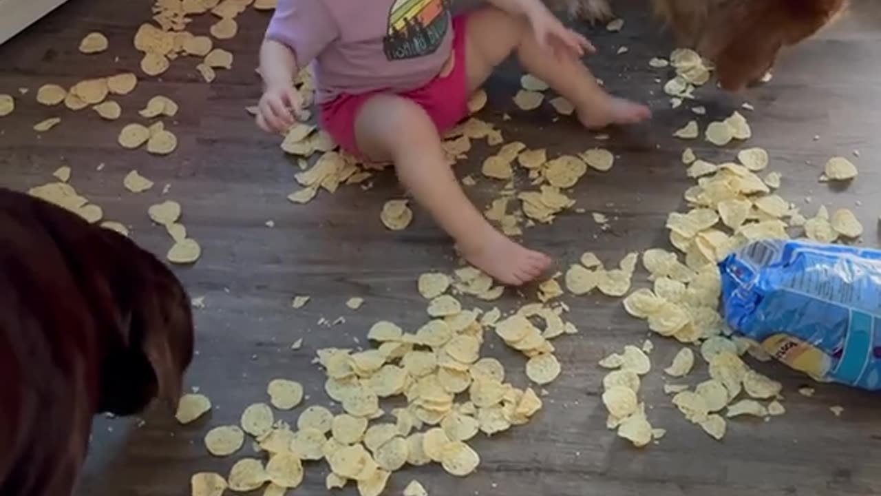 Toddler Makes a Mess Behind Mom's Back