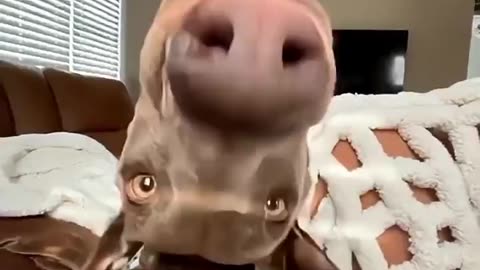 🤣🦜 That Neck Bend Will Blow Your Mind! | FunFM