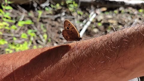 S01E05 Bugs and Things ... ID Panhandle