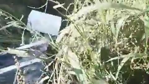 🎈💥 Ukraine Russia War | Ukrainian 12M3 Aerostat Balloon Downed in Bryansk | RCF