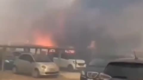#BREAKING: 📍#Italy A strong wind hot weather fueled fires that broke out in the Pine Forest