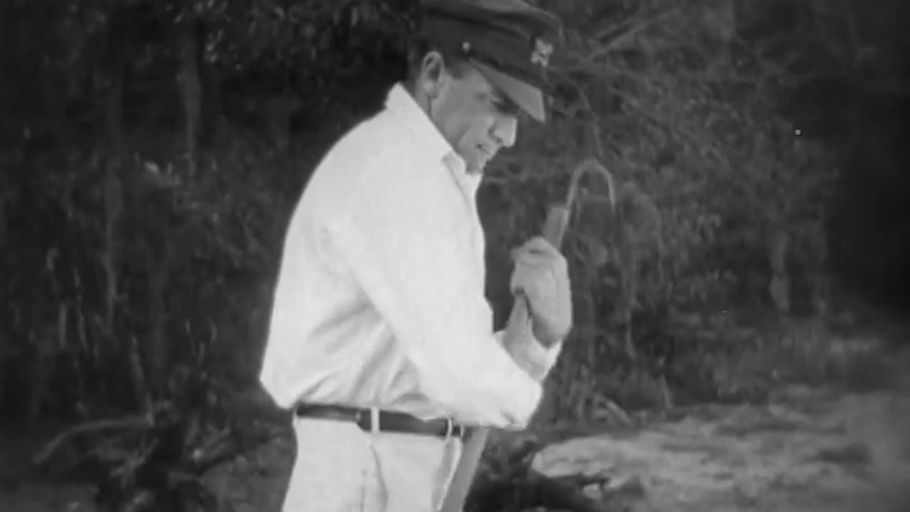 Wild Oranges (1924)