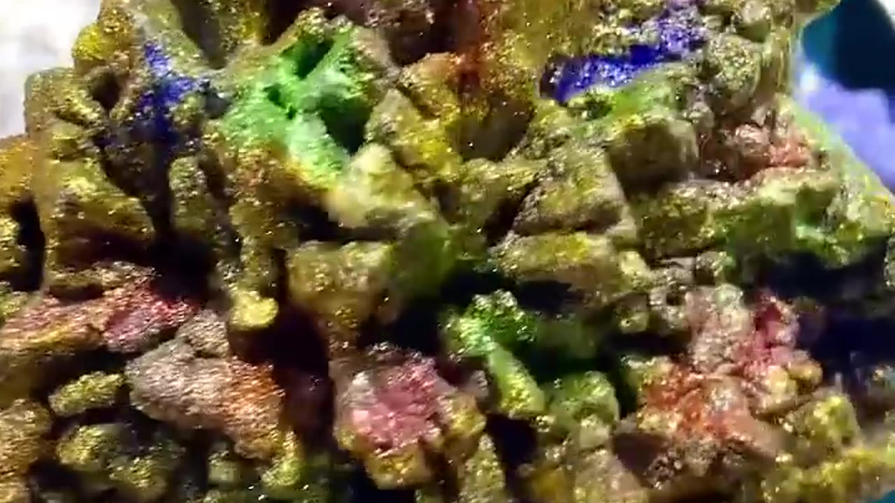 FAKE CRYSTAL EXPOSED