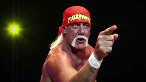 The Lies Of MMA Pride Fighter Hulk Hogan WWF(KnowS SteroIdS Best Racist Grill Lied)Terry MetalLica