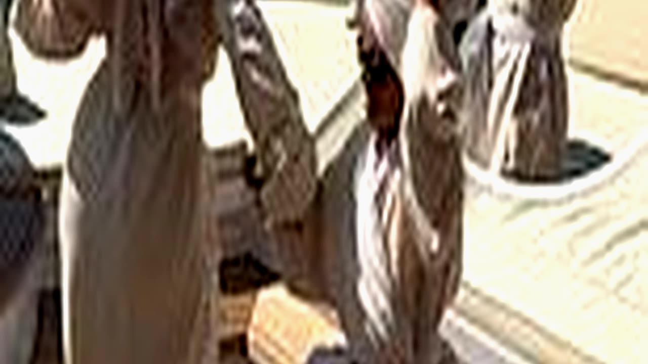 Kylie Jenner Dances on Yacht with Bestie for Life