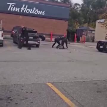 Stupid cops being stupid cops is the only way to explain this video Oink Oink Oink