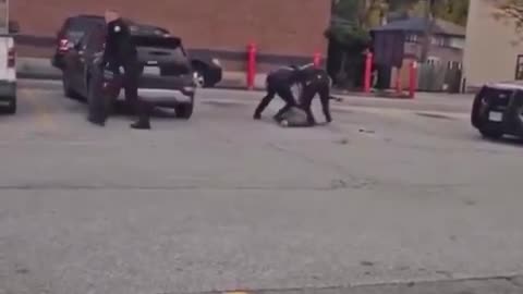 Stupid cops being stupid cops is the only way to explain this video Oink Oink Oink