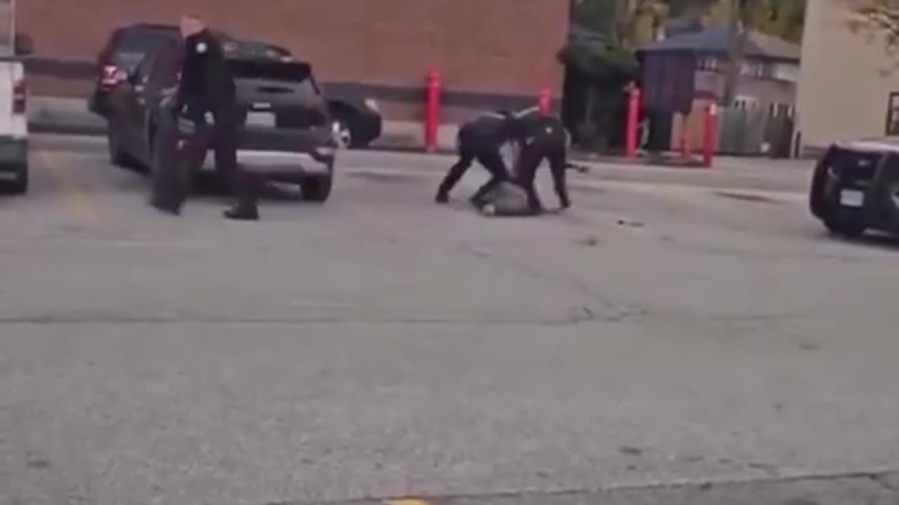 Stupid cops being stupid cops is the only way to explain this video Oink Oink Oink