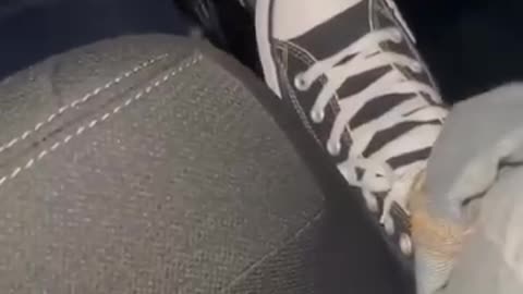 Clean shoes secret