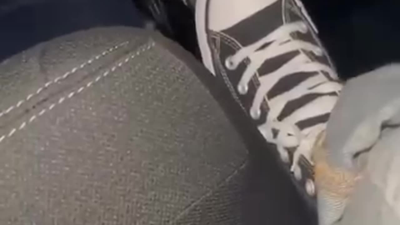 Clean shoes secret