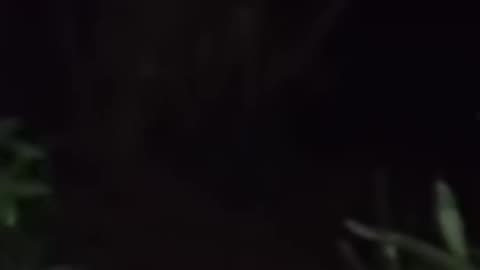 Fantasma 👻👻