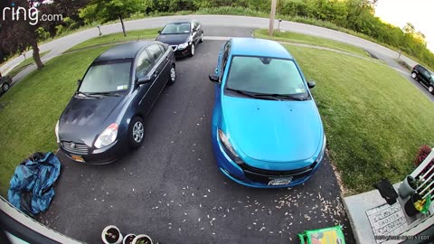 Thanking dinner stalking you