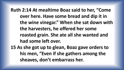 Living Hope Today Studies + Church Worship Services