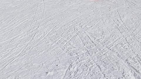 Little Sledder Knocks Over Woman