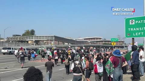 🚨 Freeway gets SHUT DOWN by rioters in downtown LA