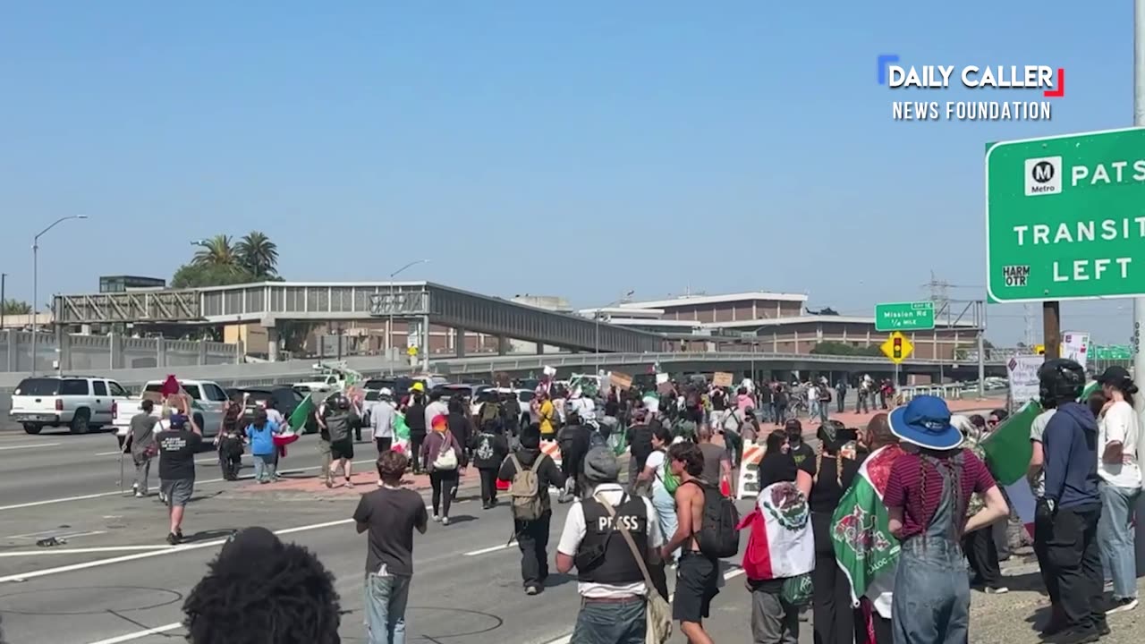 🚨 Freeway gets SHUT DOWN by rioters in downtown LA