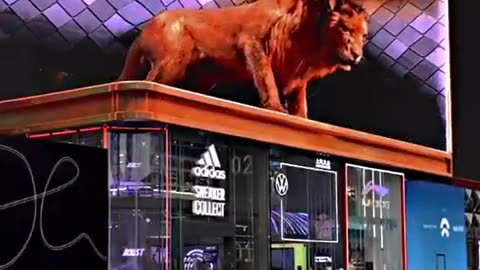 Other 3D billboard vs this 3D billboard