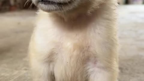 ?