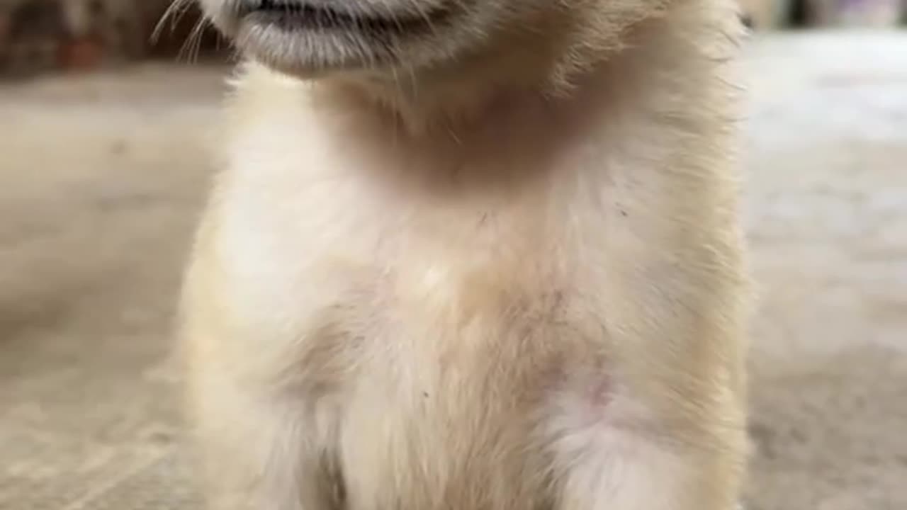 ?